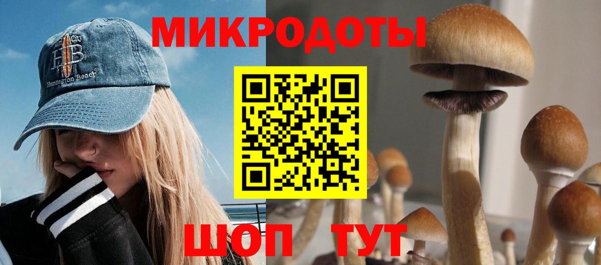Галлюциногенные грибы Psilocybine cubensis  Вход с VPN  Кумертау 