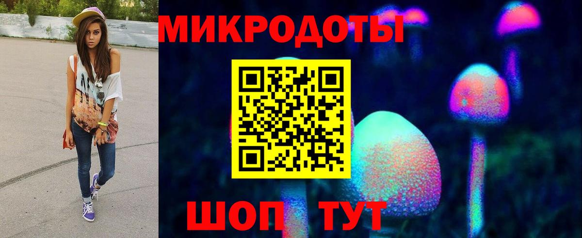 Галлюциногенные грибы Cubensis Кумертау